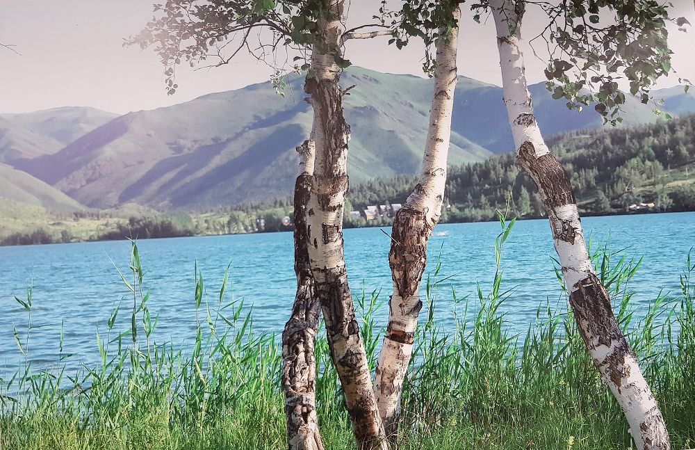 Esaǵańnyń «Qas qaǵym sáti»