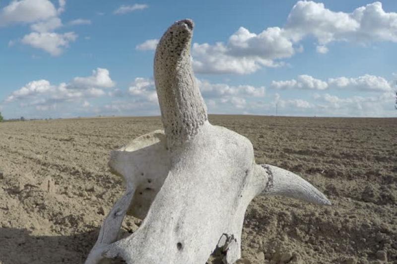 Mal qorymdarynyń jaǵdaıy sheshimin kútken másele