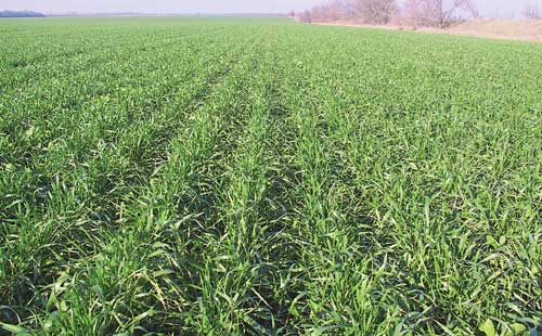 Jalǵa alynǵan jerlerge úzdiksiz monıtorıng júrgizilmek