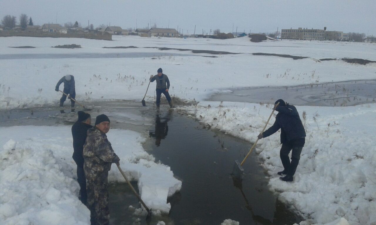 Kókpektide kópirler men sý arnalary tazartylyp jatyr