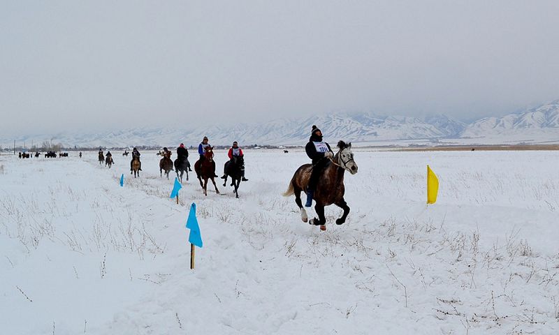  ShQO-daǵy Katonqaraǵaı aýdanynda erekshe at jarysy uıymdastyryldy