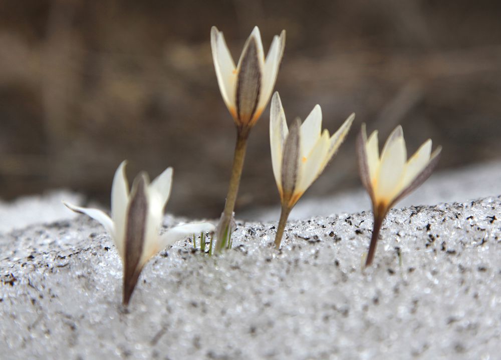 2018 jyldyń jarty jyldyǵyna arnalǵan aýa raıy aıqyndaldy