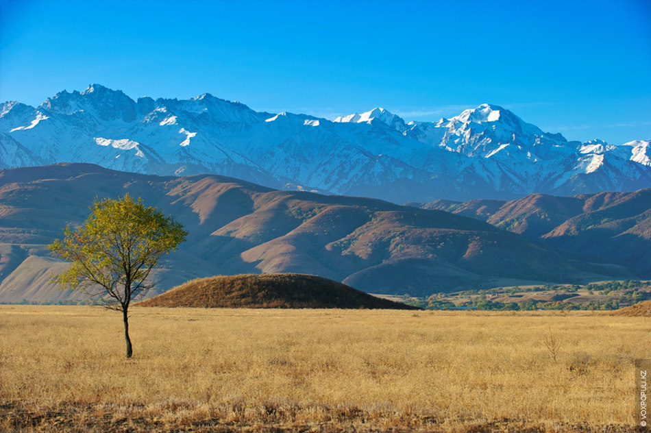 Saq hanzadasynyń súıegi qaıda saqtalǵan?