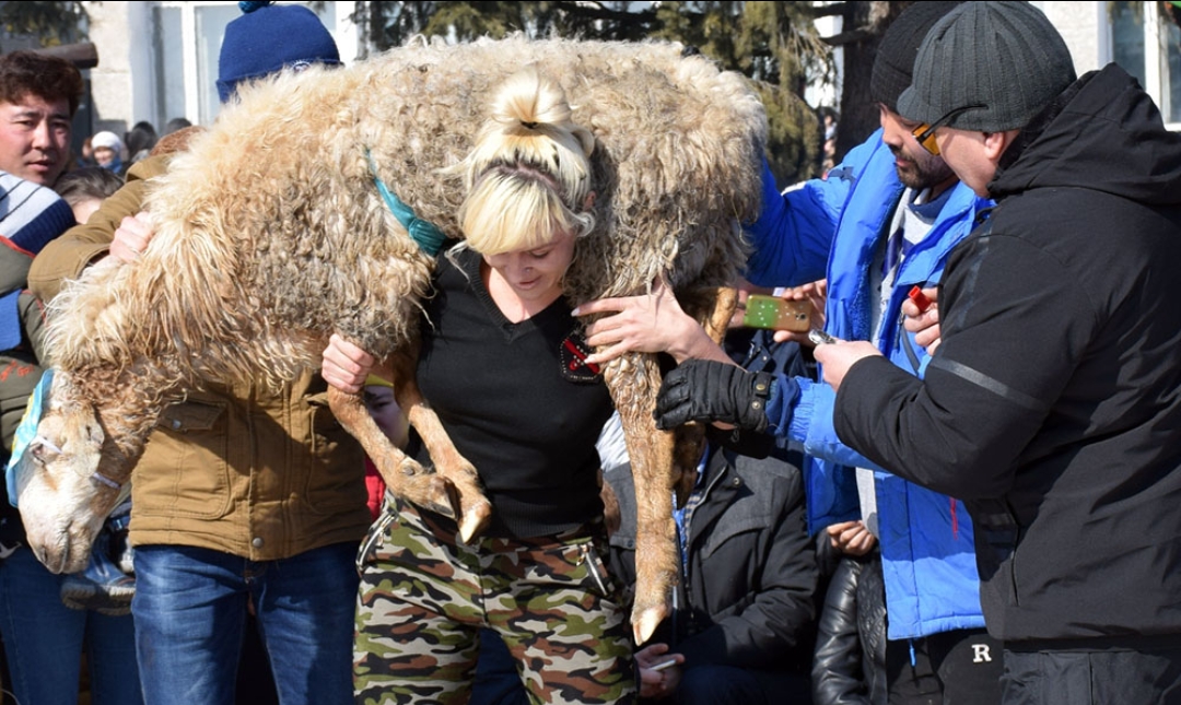 Zyrıandyq boıjetken qoshqardy 29 ret kóterdi - ShQO