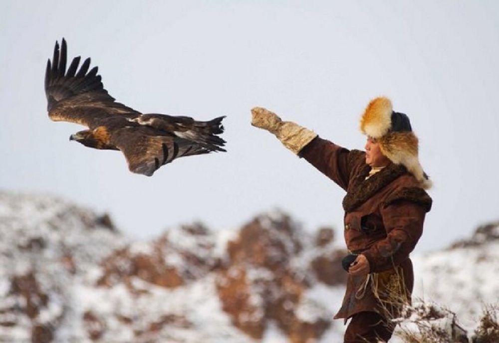 «Búrkitshi» emes «qusbegi» deıtin boldy...