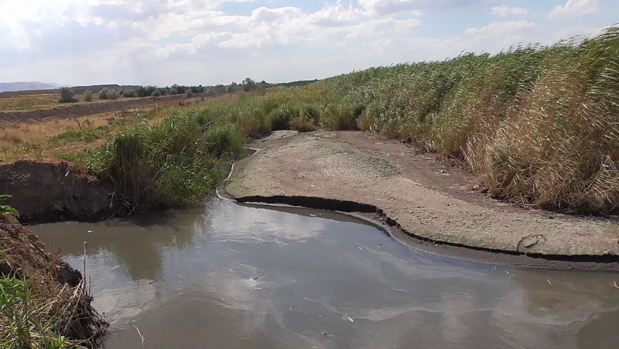 Shaıyndy sý Tarazǵa qaýip tóndirýde