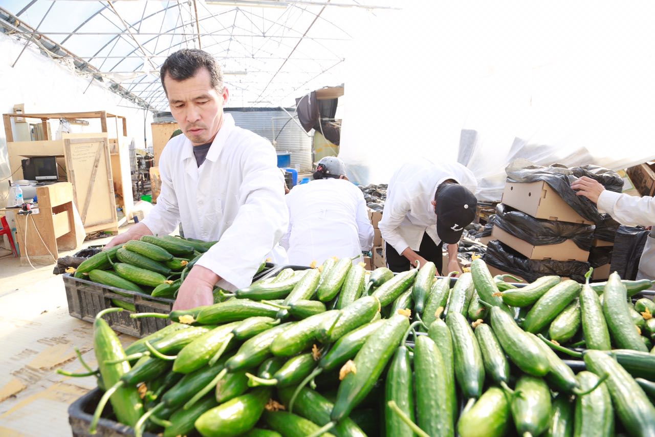 Atyraýda memlekettik baǵdarlamalar arqasynda kásipkerler qatary artyp keledi