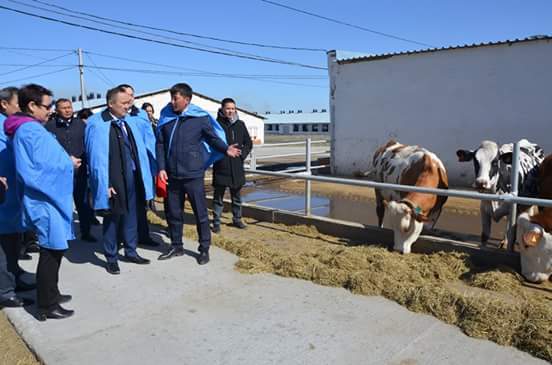 Depýtattar Úshtóbe aýylyndaǵy sút fermasyn aralady