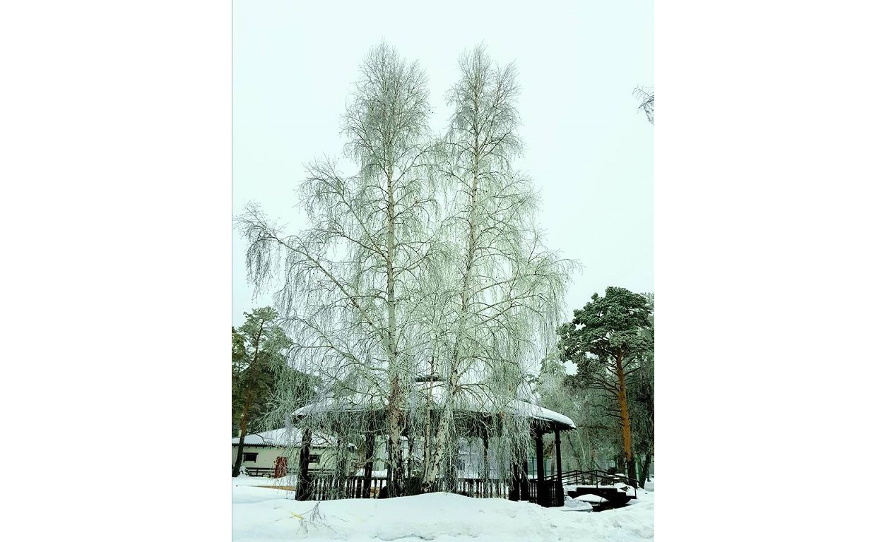 Býrabaıdyń aqqaıyńdary...