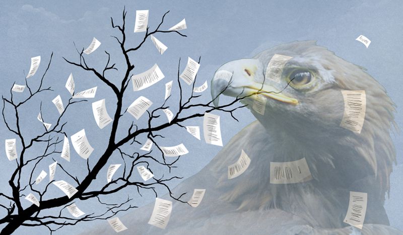 Dýlat Isabekov. Qunarly tilimizdi qoldan shubarlamaıyq