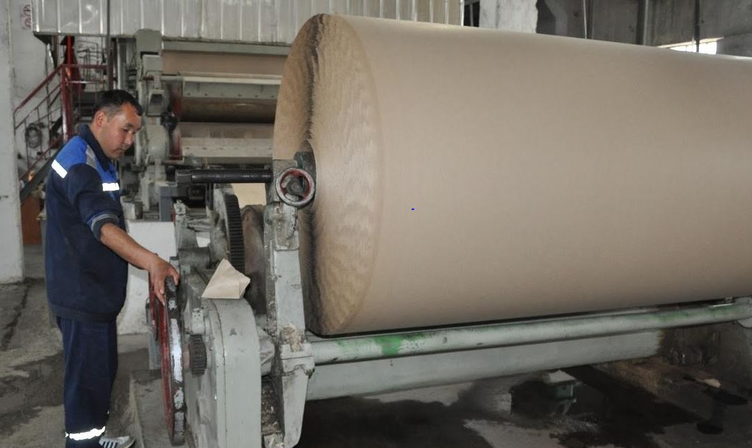 Ońtústikte aıyna 350 tonna ónim shyǵarýǵa qaýqarly kásiporynǵa shıkizat qajet