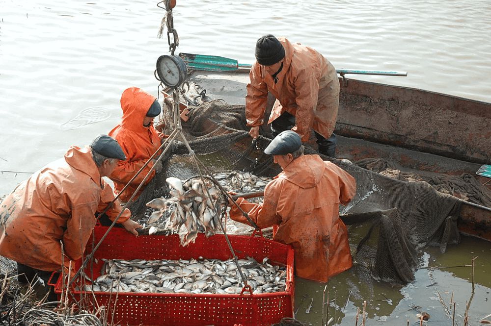 Mańǵystaýda balyq sharýashy­lyǵyn qalpyna keltirý – sheshimin tabýy tıis másele