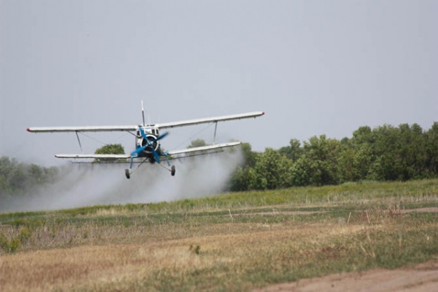 Ońtústikte shegirtkemen kúres bastaldy