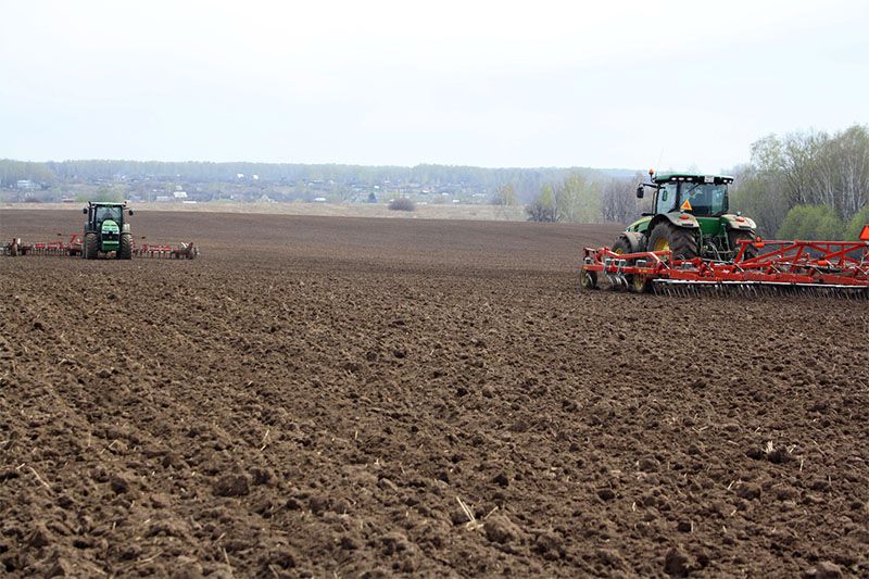 Kóktemgi egis. О́ńirlerdegi jumys qarqyny qalaı?
