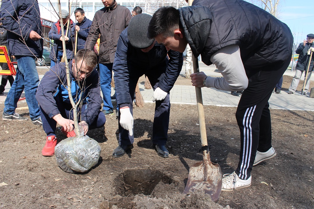 Qostanaıda memlekettik qyzmet alleıasy bolady