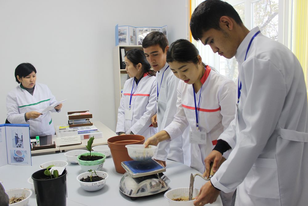 Ǵylym naryqqa beıimdelýi tıis