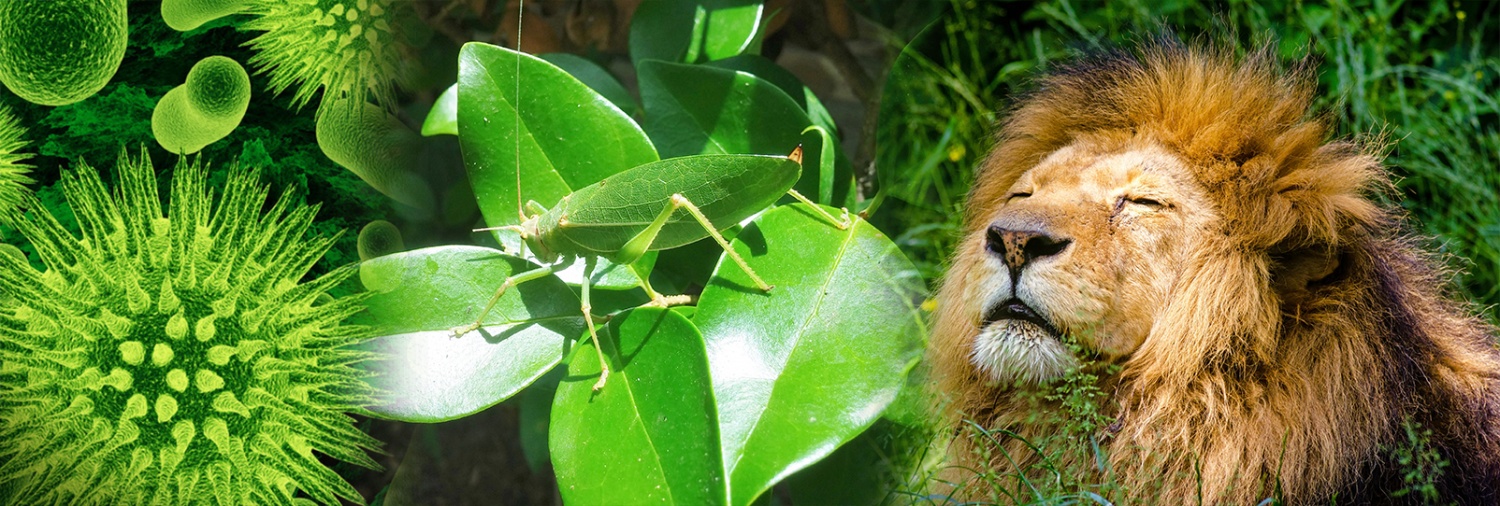 Bıologııadan UBT suraqtary (24.04.2018)
