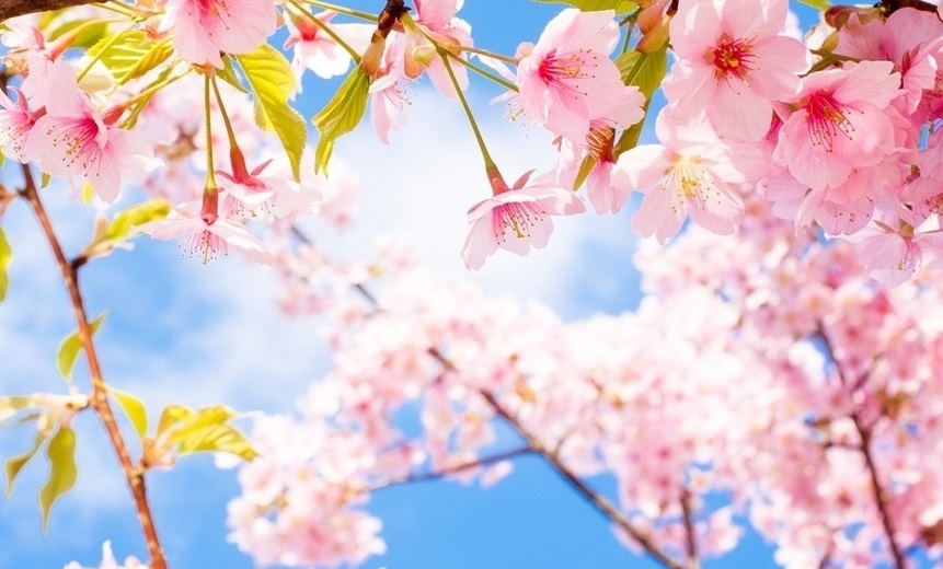 Astana ákimi elorda turǵyndary men qonaqtaryn merekemen quttyqtady