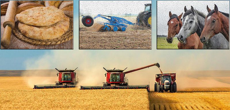 Jaqsy ómir súrý – ár aýyldyń qalaýy