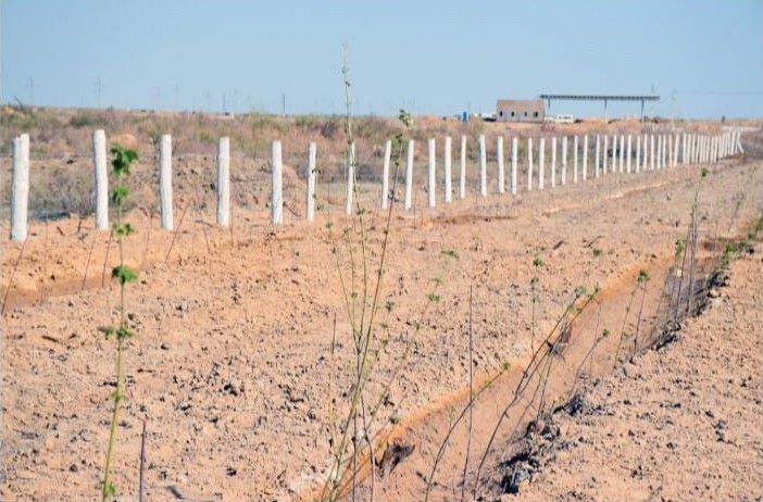 Qyzylordada eki kent birigedi