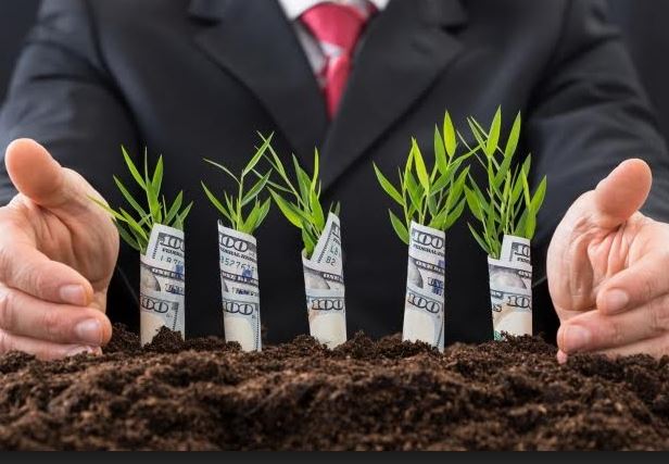 Qyzylorda oblysynda eksport kólemi artady