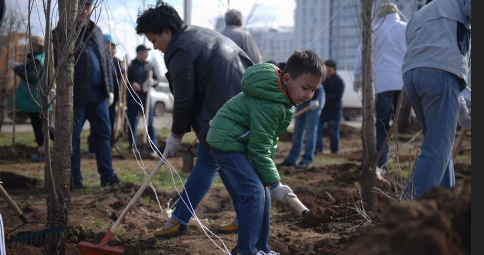 Astanada bir aı ishinde 25 myń kóshet otyrǵyzyldy