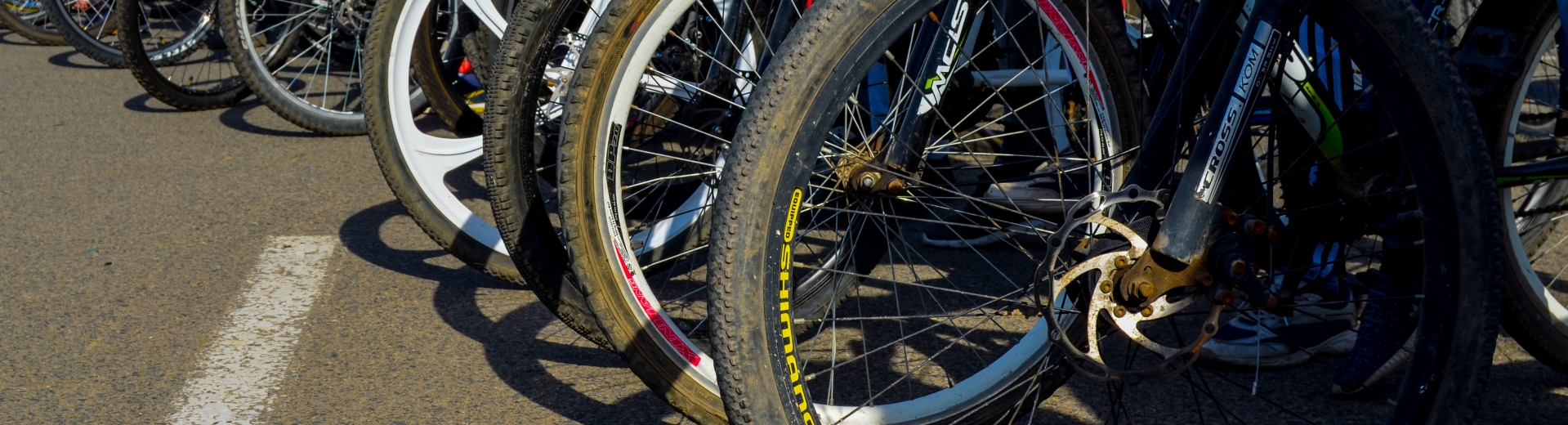 Elordada kólik júrgizýshileriniń velosıpedshilerdi soǵyp ketýi jıiledi