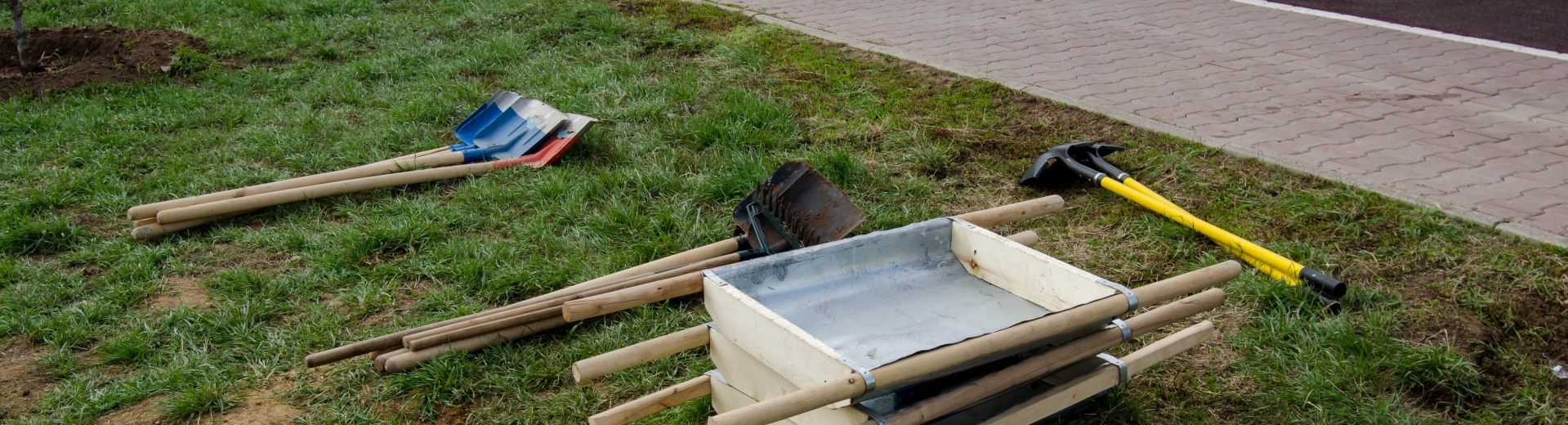 Astanadaǵy senbilik. Keń aýqymdy sharanyń qorytyndysy qandaı?