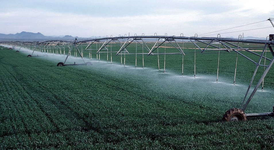 Sýarmaly jer sharýanyń yrysyn arttyrady