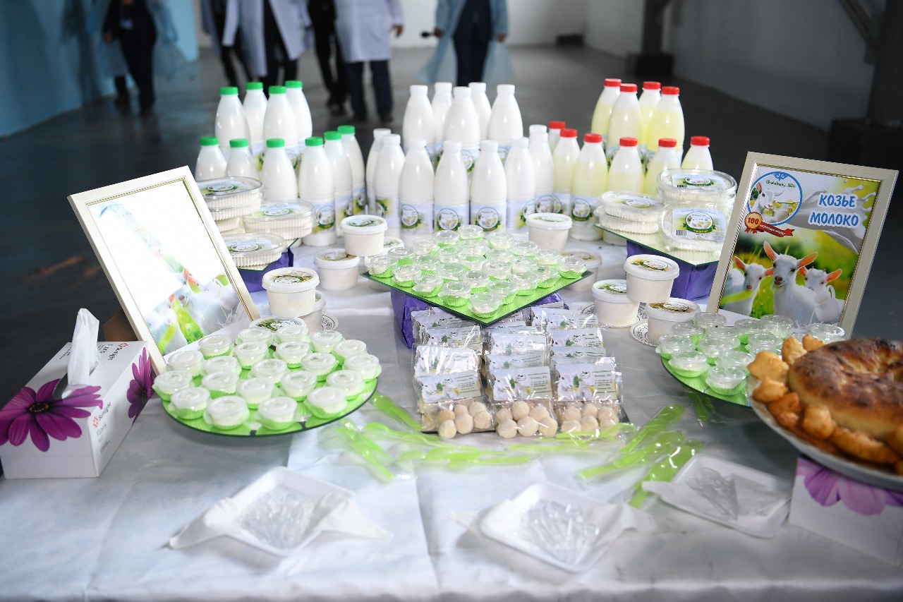 Ońtústikte eshki sútiniń ónimderi shyǵaryla bastady