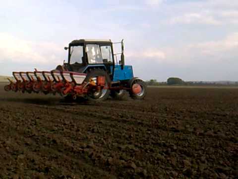 Qostanaıda búgin jappaı dán sebý bastaldy