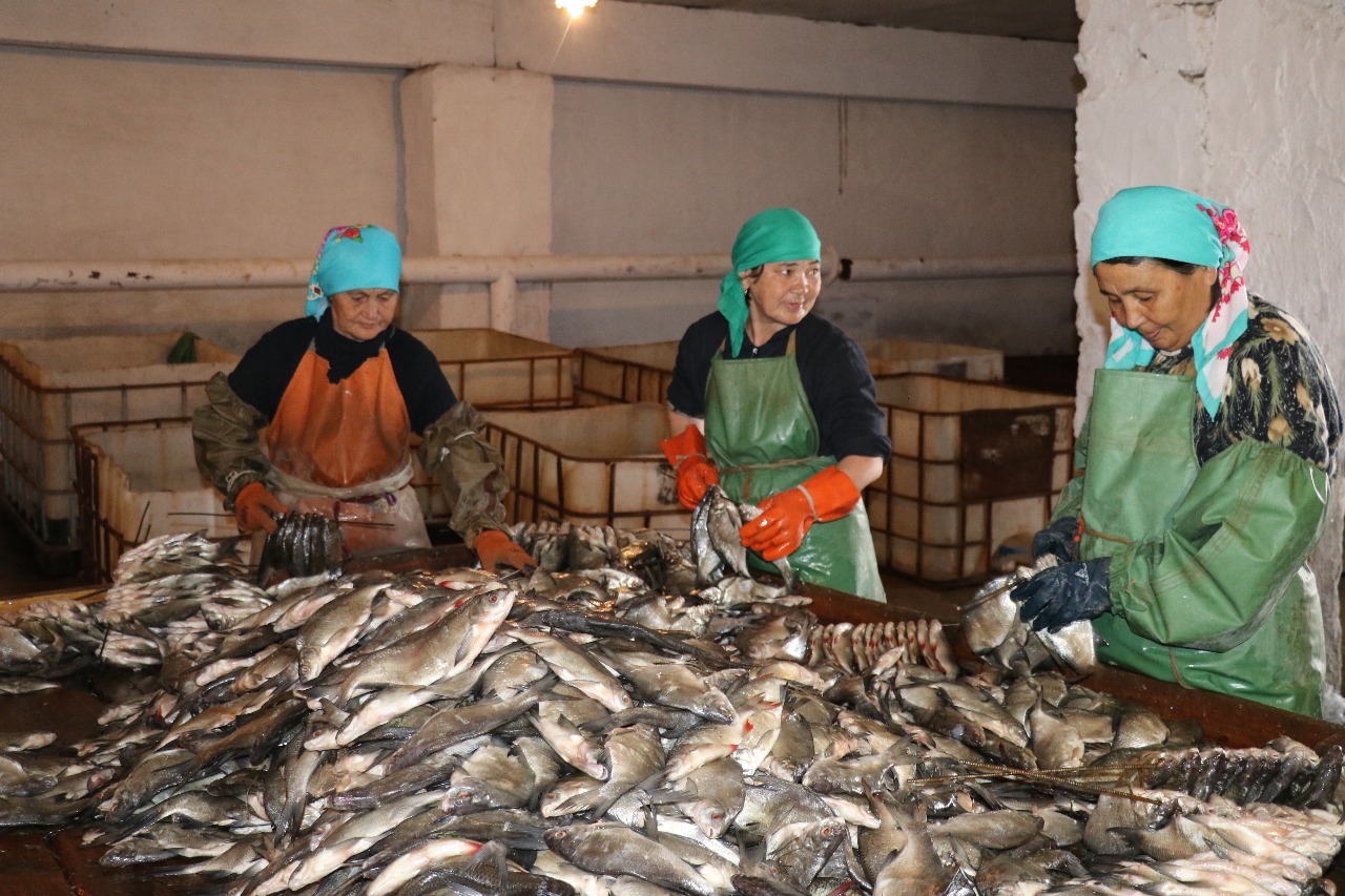 Nurlan Noǵaev: Bıznes sýbektilerine memlekettiń qoldaýy aımaqtyń eksporttyq áleýetin arttyrýǵa septigin tıgizedi