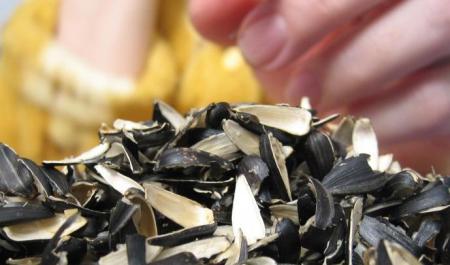 Shekildeýik shaqqandarǵa aıyppul salynady