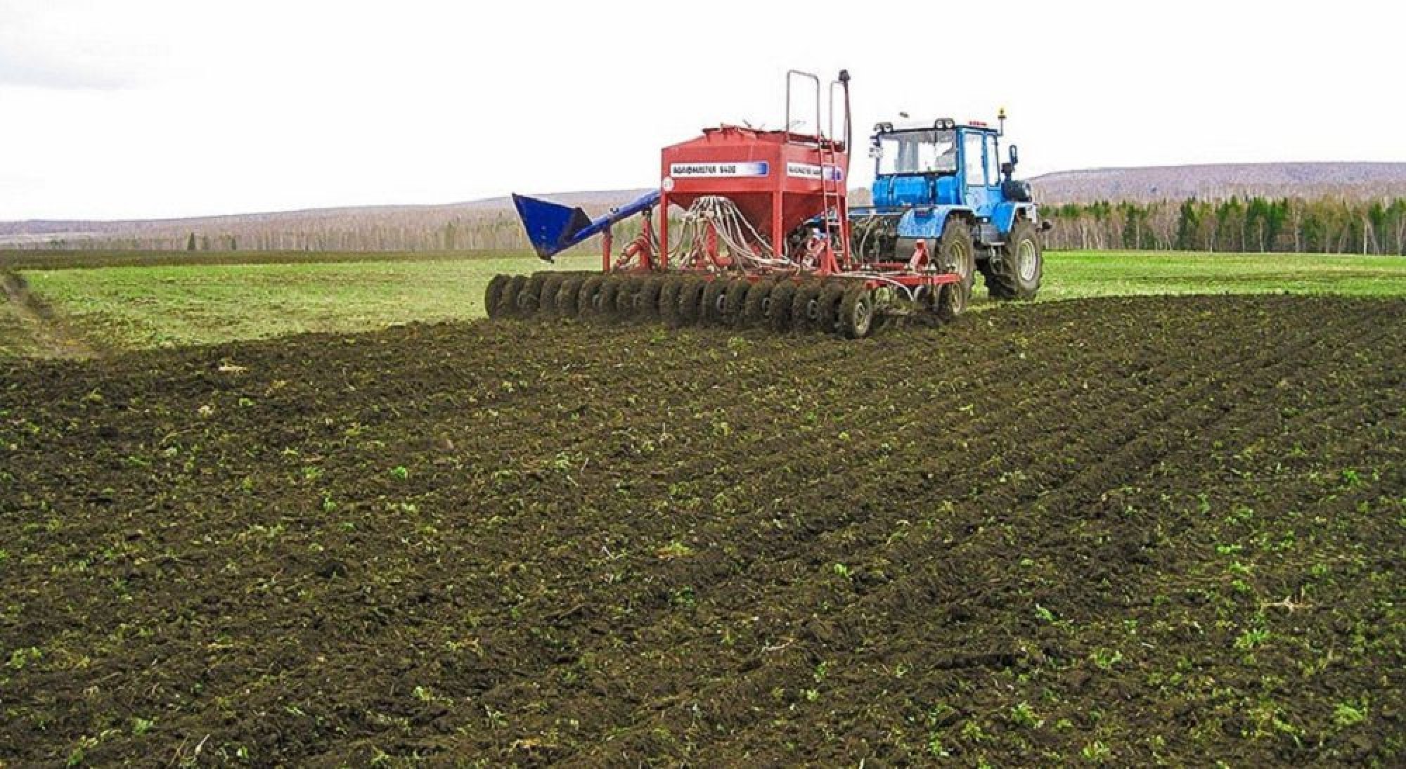 Soltústik Qazaqstan dıqandary tuqym sebýdi jalǵastyrýda