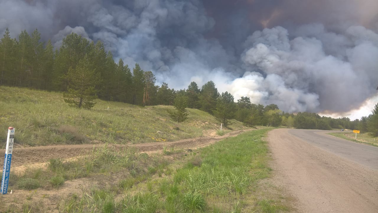 Semeıdegi ormannyń órtenýi adam qolymen jasalǵan is bolýy múmkin