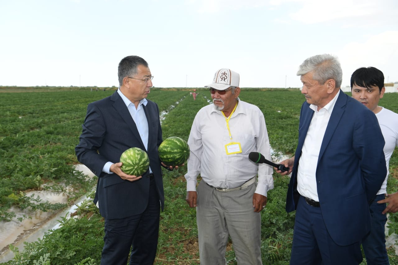 Ońtústikte 51,5 gektar jerge baqsha daqyldary egildi