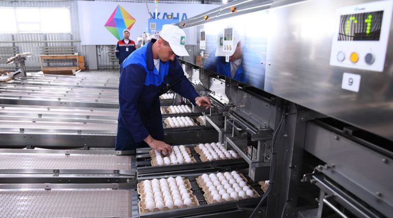 Rýdnyıda Baqytjan Saǵyntaevqa «Aqyldy qus fabrıkasy» jobasy tanystyryldy