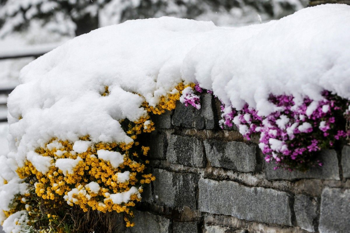 Aqmola oblysynda qar jaýýy yqtımal