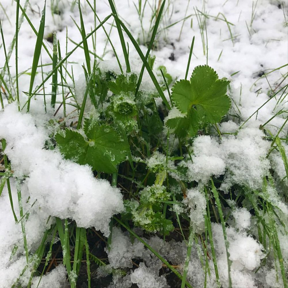Astananyń aýa raıy nege ózgerdi?