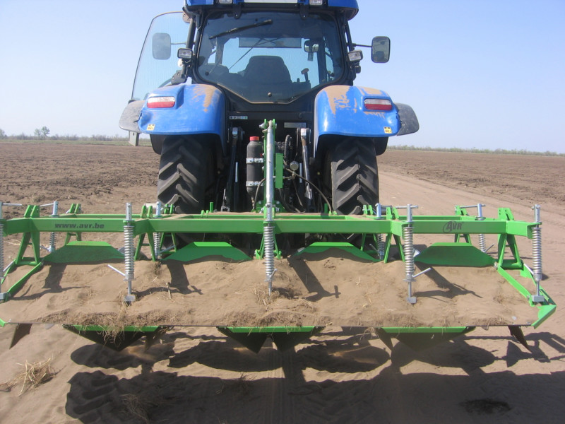 Ertis aýdany 100 myńnan astam gektar alqapqa dándi-daqyldar egiledi