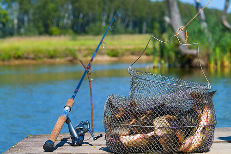 Er­tis ózeniniń sý qoımalarynda ba­lyq aýlaýǵa tyıym salyndy
