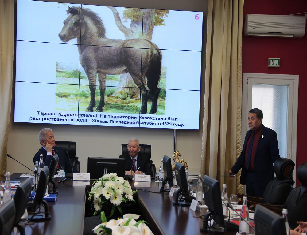 Qambar ata túligine qoldaý kerek
