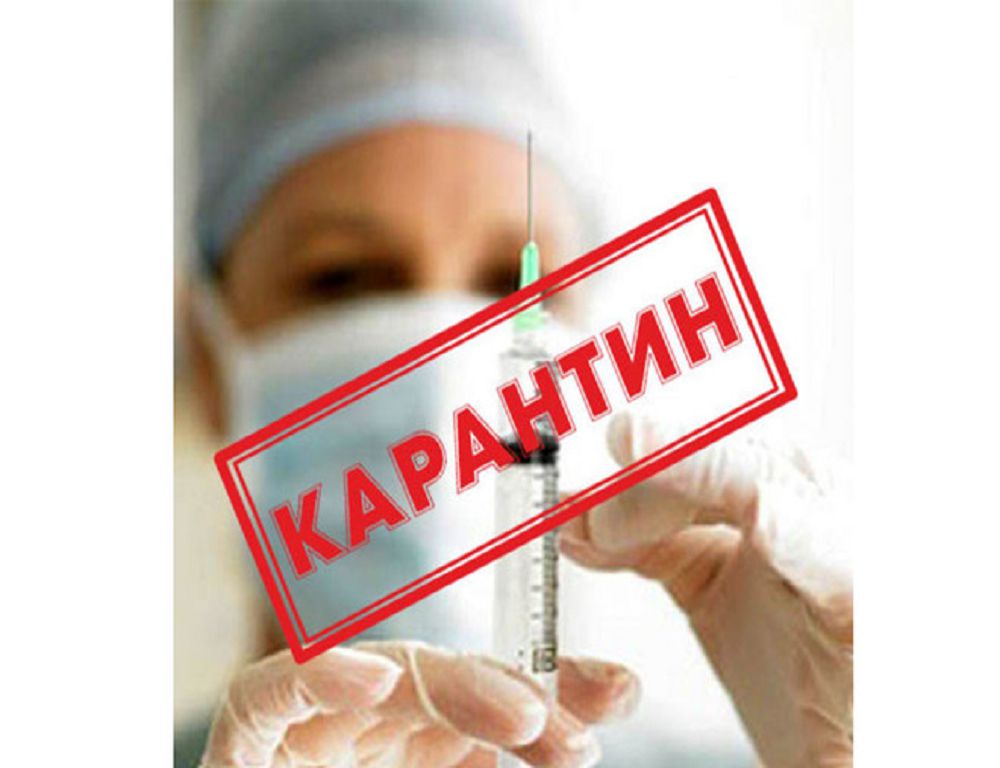 О́simdik karantınine ózgeshe kózqaras qajet
