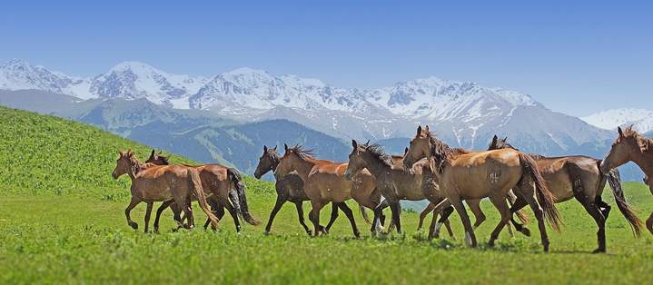 Qy­zyl­úı aýylynyń alǵashqy kirpishi qalan­ǵanyna 105 jyl toldy
