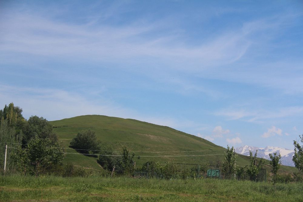 Túrkistandy túgel bılegen Eńsegeı boıly er Esim beınesi el jadynda