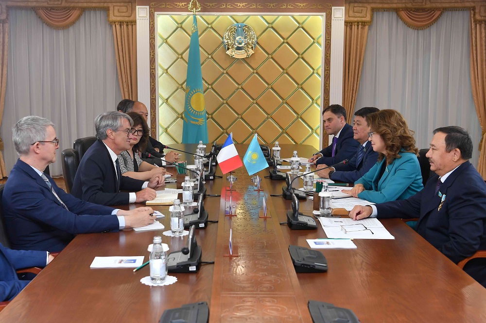 Senator D.Nazarbaeva fransýz áriptesterin qabyldady