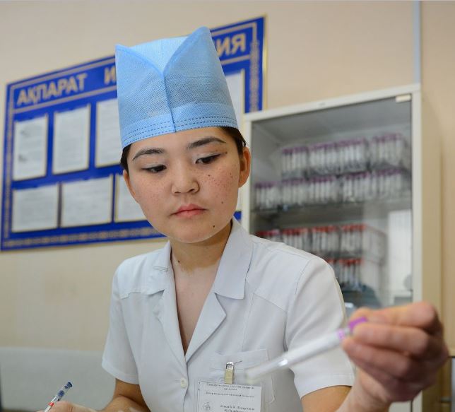 Meıirgerlik is boıynsha qoldanbaly bakalavr ıelerine qandaı mindetter júkteledi?