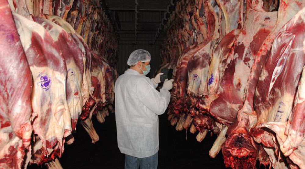 Qytaıǵa et eksporttaýǵa múmkindik týdy