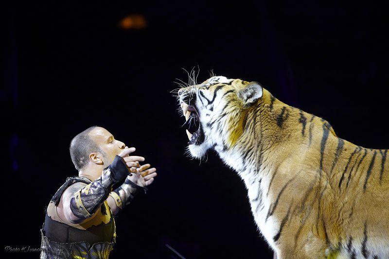 Jolbarysty júgendegen áýlet Almatyda óner kórsetedi 