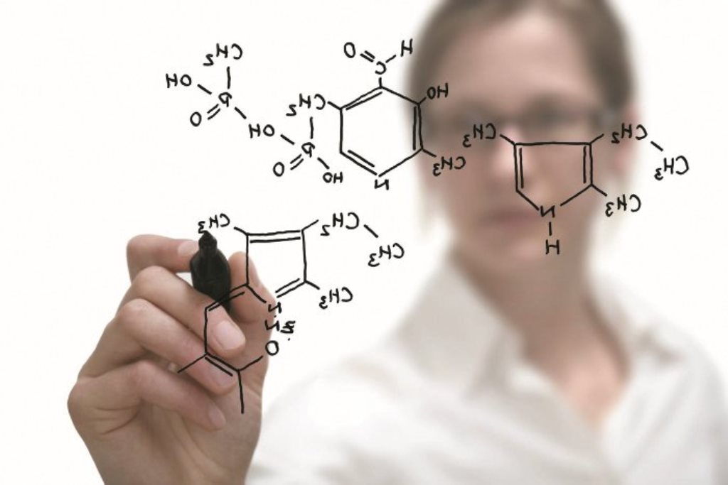 Qyzdar Ýnıversıtetinde álemdik uıymnyń ókildigi ashylady
